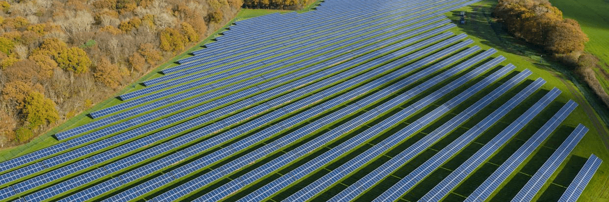 imagen_2025-03-14_162832010