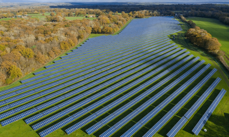 imagen_2025-03-14_162832010