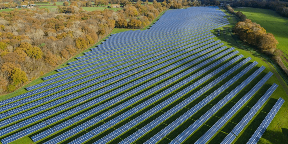 imagen_2025-03-14_162832010