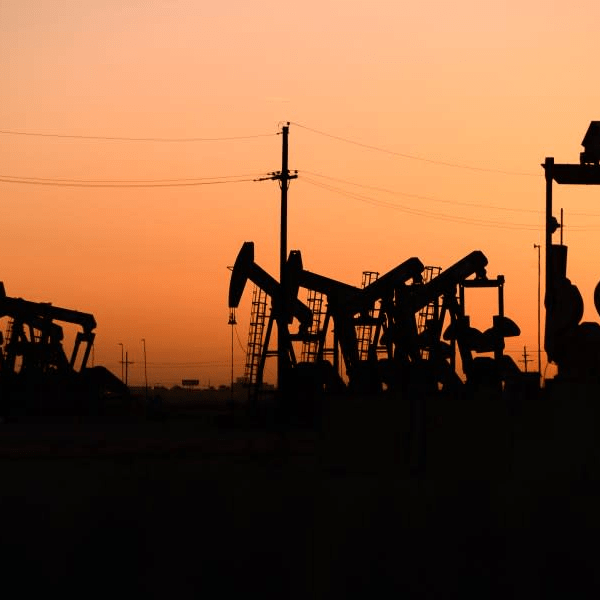 imagen_2025-03-14_163128670