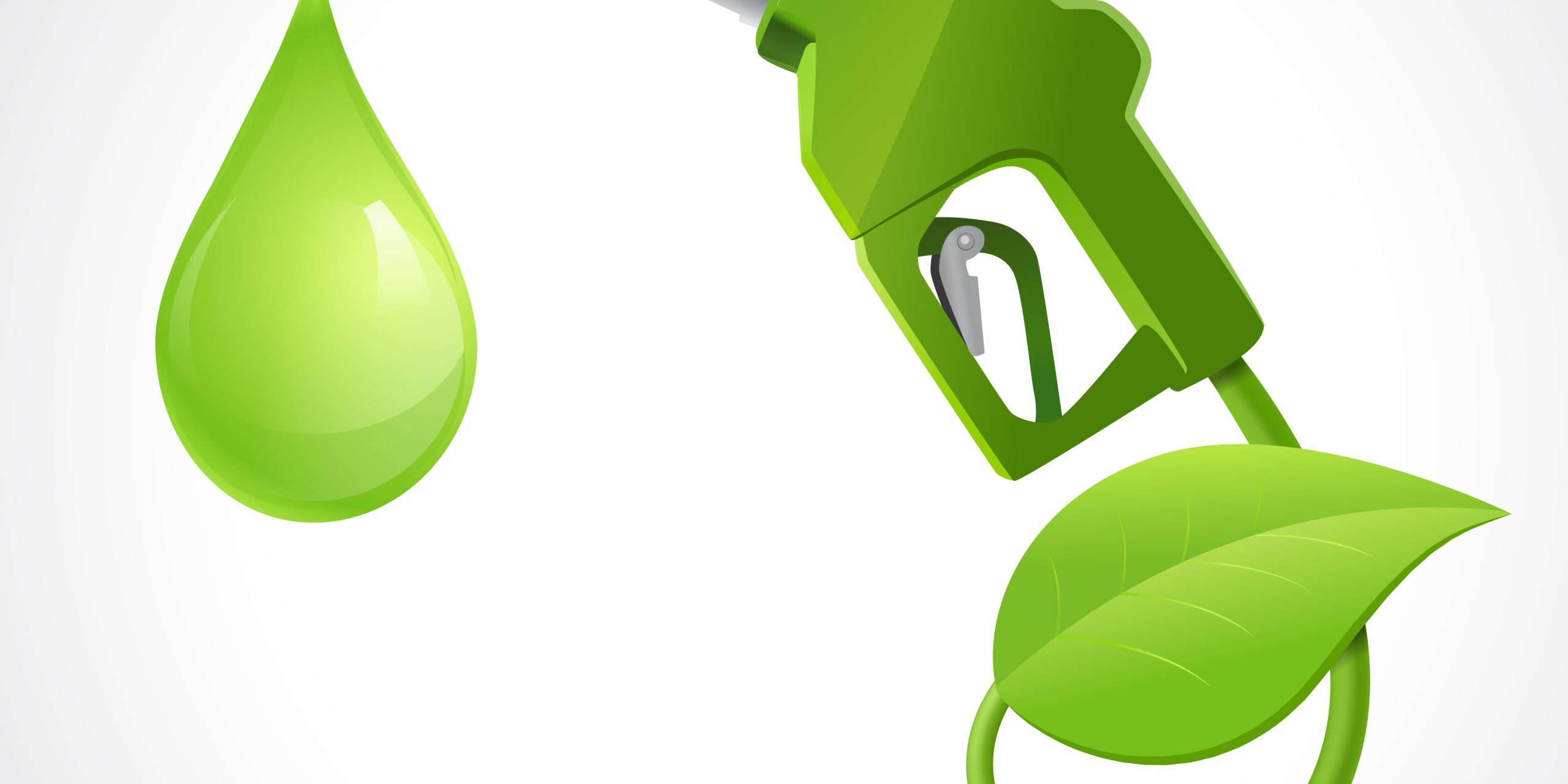 Bio fuel logo concept