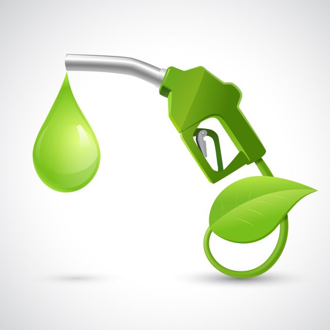 Bio fuel logo concept