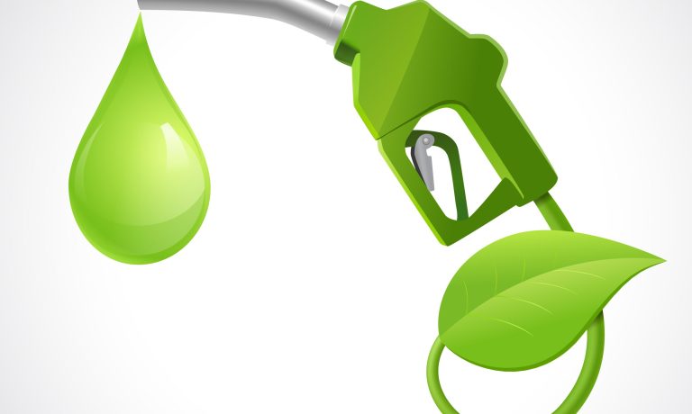 Bio fuel logo concept