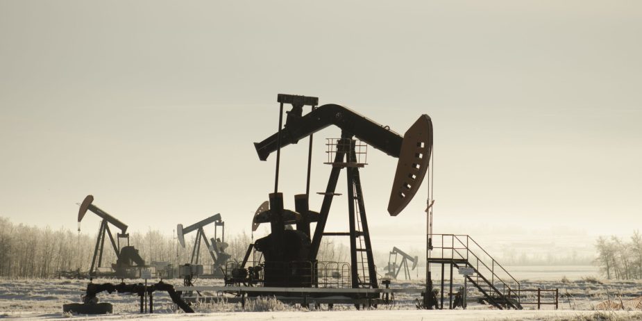 Field with oil pump jacks surrounded by greenery under sunlight