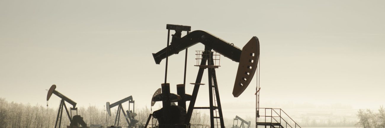 Field with oil pump jacks surrounded by greenery under sunlight