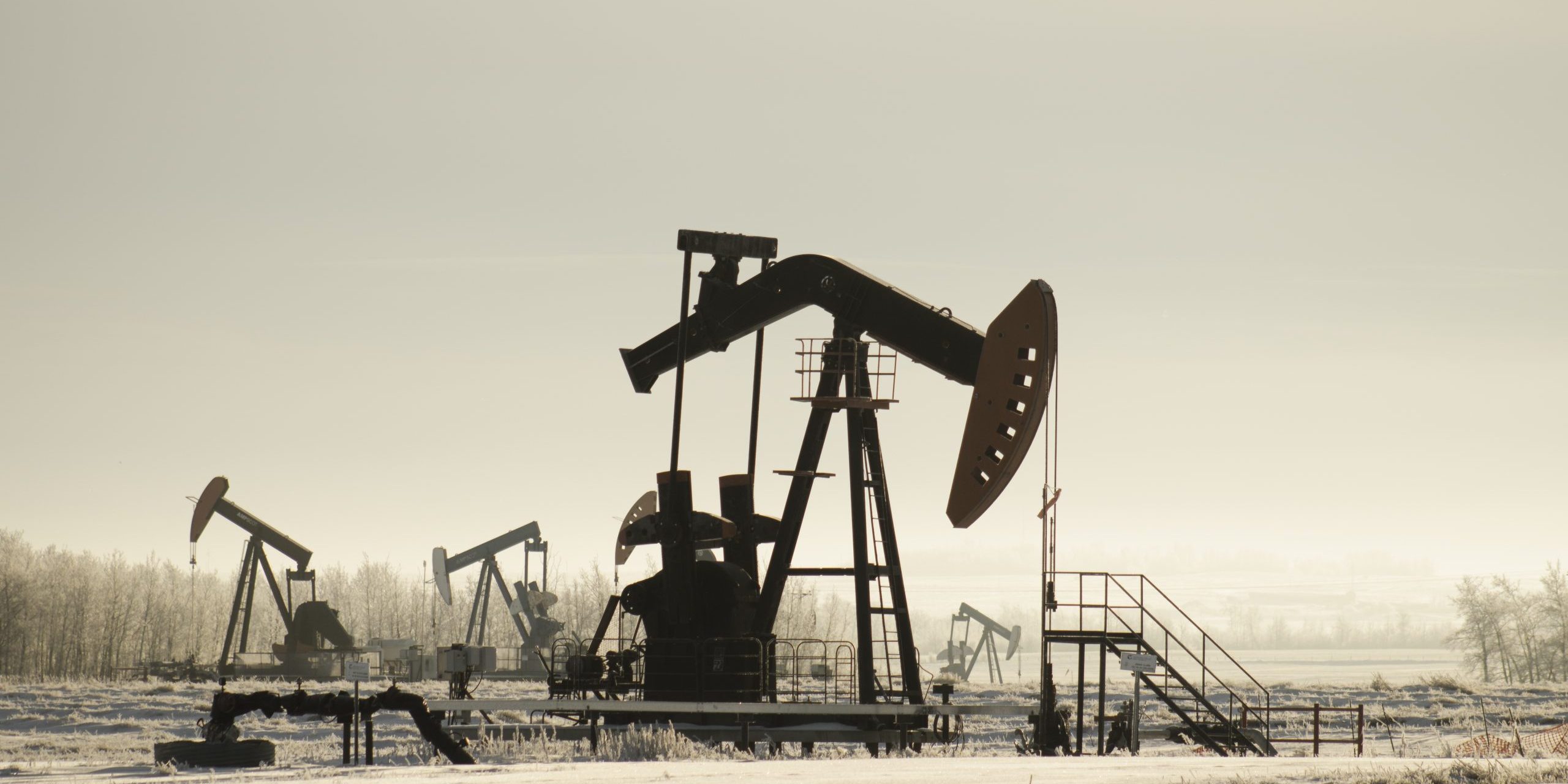 Field with oil pump jacks surrounded by greenery under sunlight