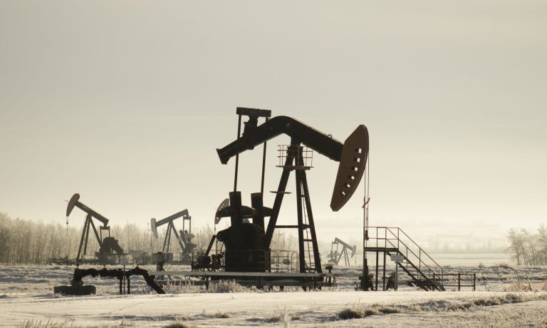 Field with oil pump jacks surrounded by greenery under sunlight