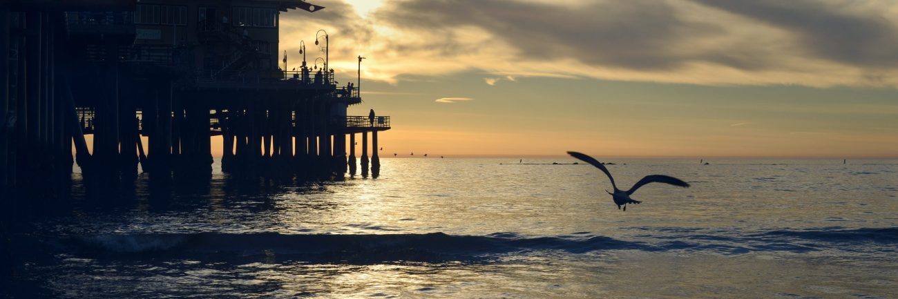 Silhouette of a bird flying over the beautiful sea near the wooden dock during sunset