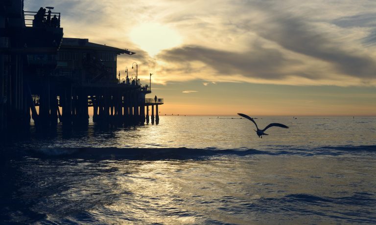 Silhouette of a bird flying over the beautiful sea near the wooden dock during sunset
