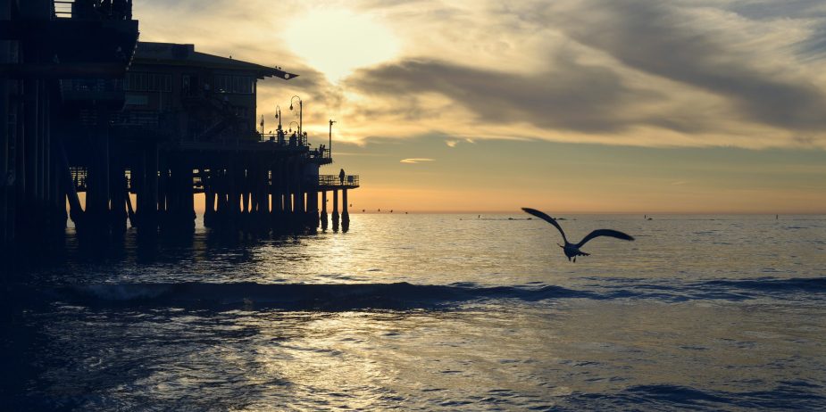 Silhouette of a bird flying over the beautiful sea near the wooden dock during sunset