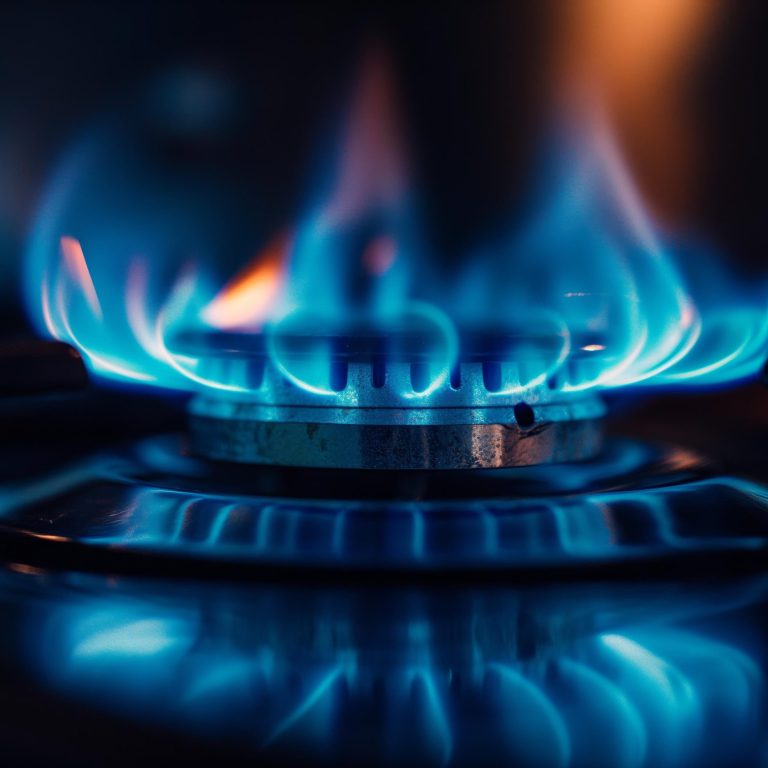 A close-up view of a gas stove burner with blue flames.