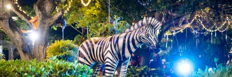 IMG-20251202-WA02191-758×379