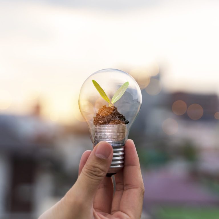 A small tree growing on a silver coin and energy-saving light bu