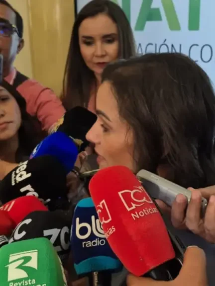 descarga (1)
