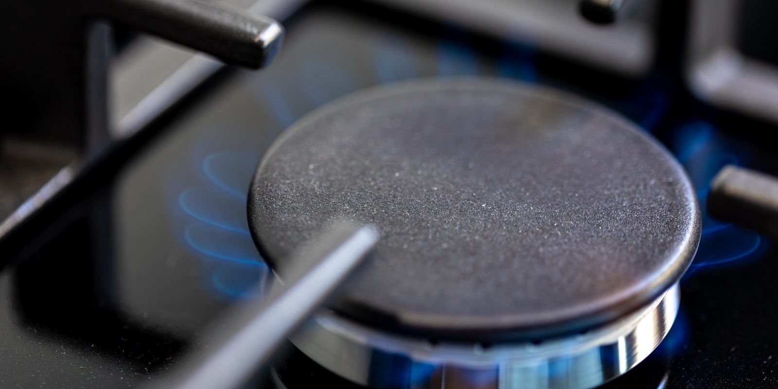 WhatsApp Image 2026-01-21 at 5.58.06 PM