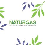 Naturgas